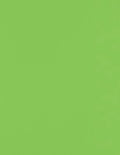 LUXPaper 8.5" x 11" Paper | Letter Size | Limelight Green | 80lb. Text | 50 Qty by LUXPaper