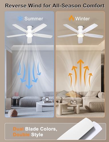 ohniyou 52'' low profile ceiling fan with lights, package contents