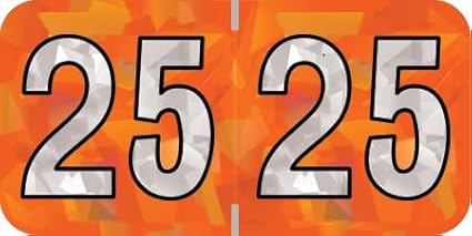 2025 Year Labels, Doctor Stuff 2025 Chart Stickers, Holographic Orange Colored by DoctorStuff