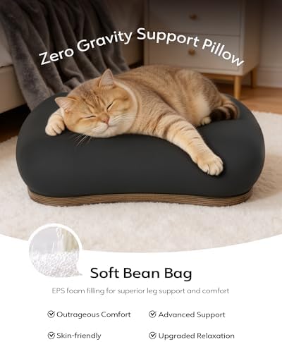 LULULOOK 2-in-1 Lap Desk & Kindle Pillow Stand with Beanbag