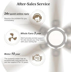 wingbo ceiling fan with lights - 64 inch, front angle view