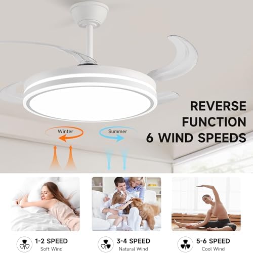 retractable ceiling fans with lights and remote, 42, package contents