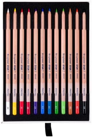 ターレンスジャパン(talens japan) bruynzeel 12 colors set of 12 shown in use