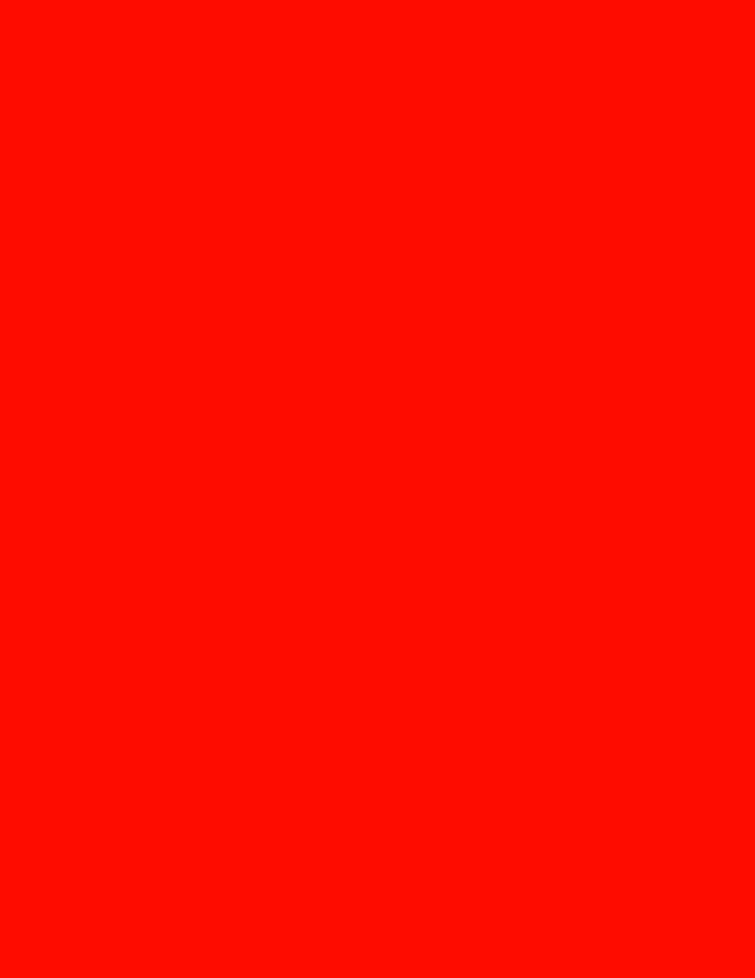NextDayLabels - 8-1/2 x 11 Neon Color High Light Fluorescent Labels by NextDayLabels
