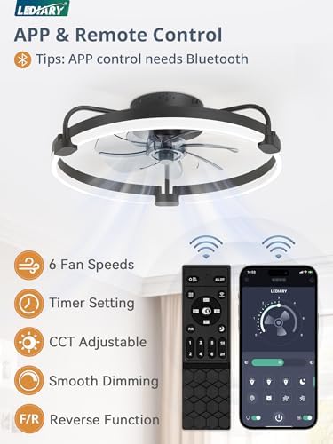lediary 20" ceiling fans with lights and remote shown in use