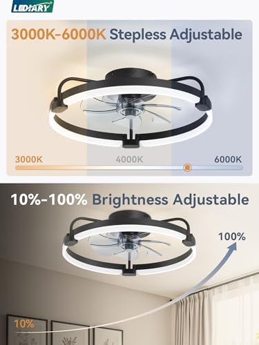 lediary 20" ceiling fans with lights and remote, close-up detail