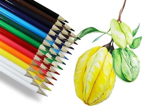 S & E TEACHER'S EDITION 240Pcs Colored Pencils, Coloring Pencils Set Drawing - Image 5