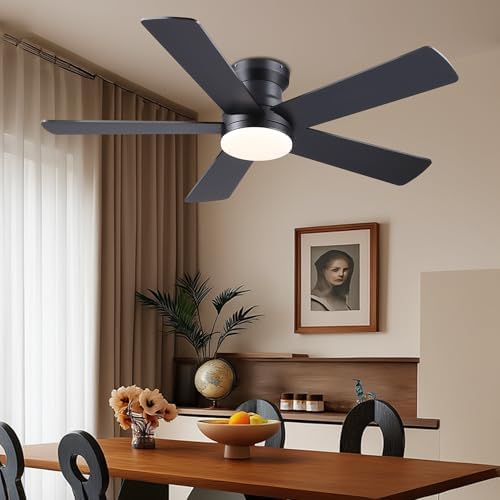 ayaoty ceiling fans with lights - 48" black, front angle view