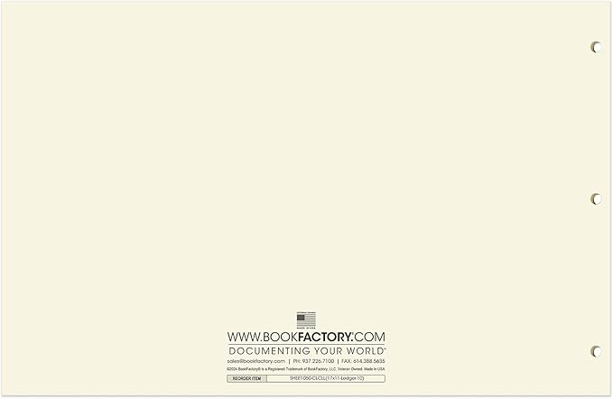 BookFactory Ledger Sheets/Large 10 Column Accounting Ledger Columnar Loose Leaf - Image 3
