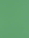 LUXPaper 8.5" x 11" Paper | Letter Size | Holiday Green | 80lb. Text | 50 Qty by LUXPaper