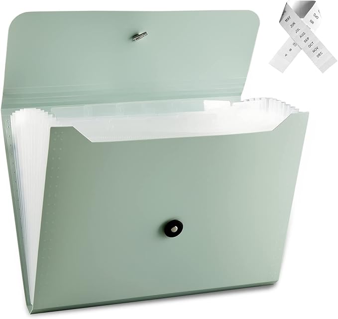 Expanding File Folder File Organizer by Nicfaec