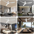 taloya 52 inch ceiling fans with lights and on a desk or shelf
