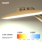 Neatfi XL 2, 200 Lumens LED Task Lamp, 4 Level Brightness, 3 Light Modes - Image 4