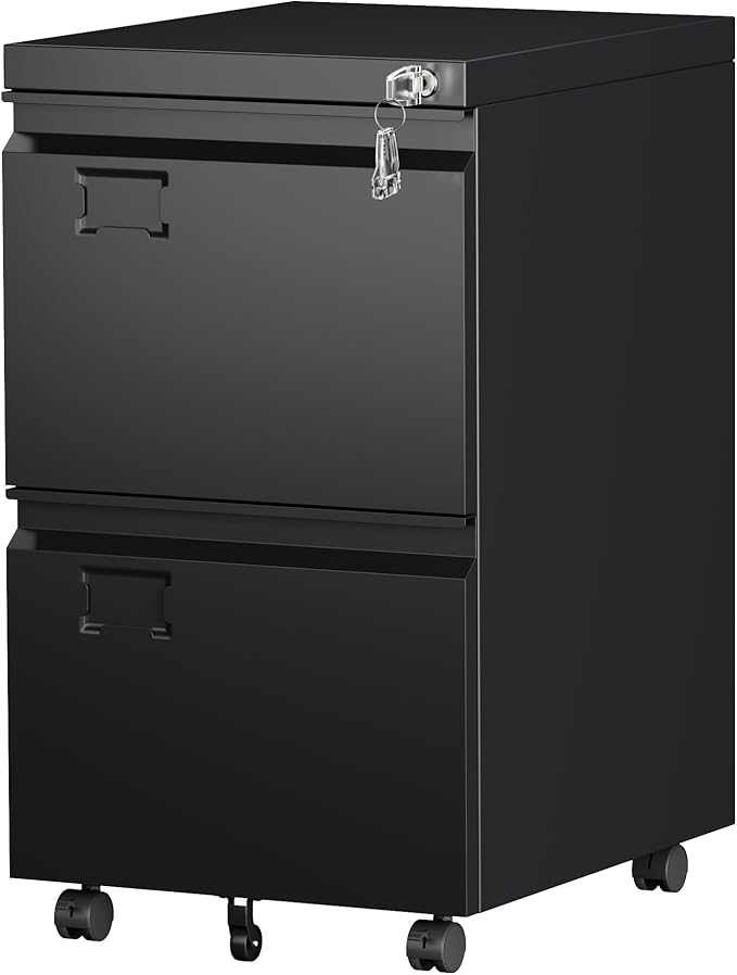 SUXXAN 2 Drawer File Cabinet by SUXXANFurniture