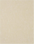 LUXPaper 8.5" x 11" Paper | Letter Size | Cream Parchment | 60lb. Text | 1 by LUXPaper