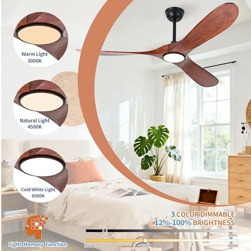 ceiling fans with lights and remote, large outdoor, close-up detail