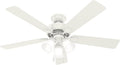 hunter swanson, indoor, ceiling fan, with led lights, main product view