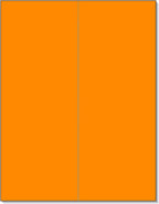 NextDayLabels 8-1/2 x 11" Neon Color High Light Fluorescent Labels by NextDayLabels