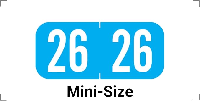 MINI 2026 Year Stickers, Doctor Stuff 2026 Chart Stickers, Light Blue Color by DoctorStuff