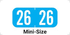 MINI 2026 Year Stickers, Doctor Stuff 2026 Chart Stickers, Light Blue Color by DoctorStuff