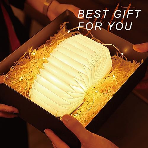 Originality Folding Accordion Lamp, Japanese Gift, LED Paper Lantern