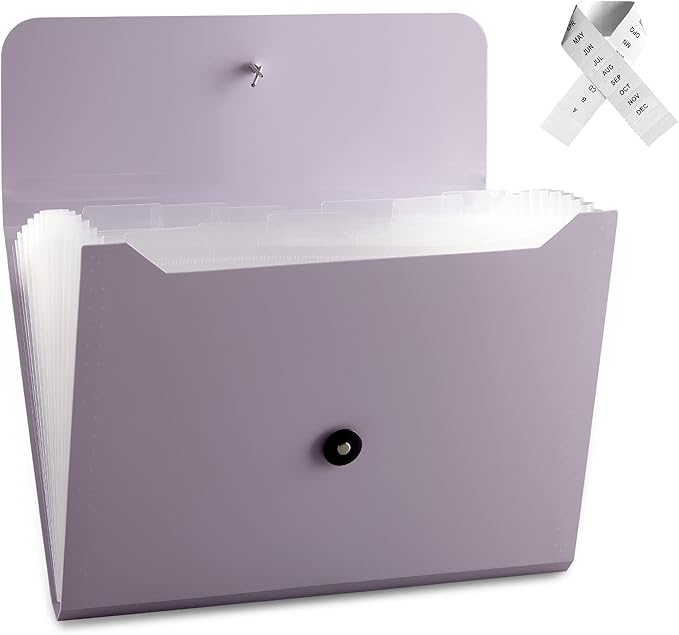 Nicfaec Expanding File Folder, 13 Pockets, Polypropylene by Nicfaec
