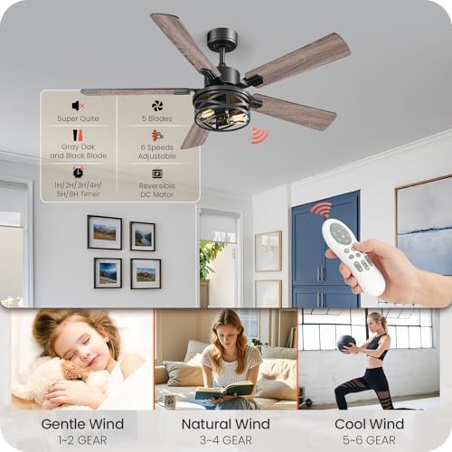 52 inch farmhouse ceiling fan with lights and, close-up detail