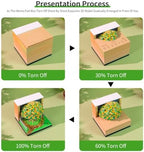 3D Time Piece Calendar, 2027 Desk Calendar With LED Light, 3d Tree Memo Pad Creative Desk Calendar, Christmas Gift for Colleague Friend, Desktop Decoration (Osmanthus Tree)