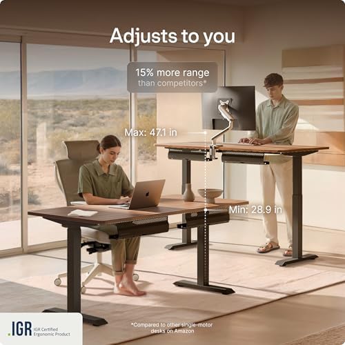 Desktronic HomeOne Standing Desk 60x30 — Ergonomic Sit Stand Home Office Desk, Made in Europe, Electric Dual Motor Height Adjustable, USB & USB-C Charging, Wobble-Free, Touchscreen, 3 Memory Presets