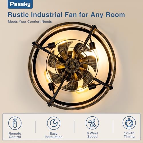 passky 20" caged ceiling fans with lights and, close-up detail