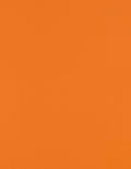 LUXPaper 8.5" x 11" Paper | Letter Size | Mandarin Orange | 80lb. Text | 1