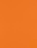 LUXPaper 8.5" x 11" Paper | Letter Size | Mandarin Orange | 80lb. Text | 1