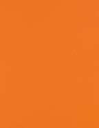 LUXPaper 8.5" x 11" Paper | Letter Size | Mandarin Orange | 80lb. Text | 500 Qty