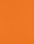 LUXPaper 8.5" x 11" Paper | Letter Size | Mandarin Orange | 80lb. Text | 50 Qty by LUXPaper