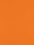 LUXPaper 8.5" x 11" Paper | Letter Size | Mandarin Orange | 80lb. Text | 50 Qty by LUXPaper
