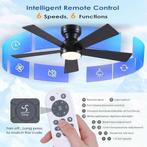 black ceiling fans with lights - 46" flush, close-up detail