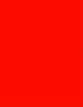 NextDayLabels - 8-1/2 x 11 Neon Color High Light Fluorescent Labels by NextDayLabels