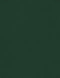 LUXPaper 8.5" x 11" Cardstock | Letter Size | Green Linen | 100lb. Cover | 250