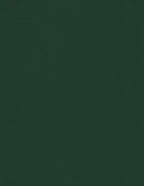 LUXPaper 8.5" x 11" Cardstock | Letter Size | Green Linen | 100lb. Cover | 250