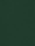 LUXPaper 8.5" x 11" Cardstock | Letter Size | Green Linen | 100lb. Cover | 500 by LUXPaper