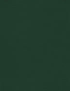 LUXPaper 8.5" x 11" Cardstock | Letter Size | Green Linen | 100lb. Cover | 500 by LUXPaper