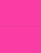 NextDayLabels - 8-1/2 x 11 Neon Color High Light Fluorescent Labels by NextDayLabels