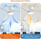 taloya 52 inch ceiling fans with lights and, close-up detail