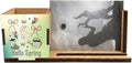 ZXAZXA Pen Holder for Desk Office Desk Accessories Multi-functional Office Pen by Unknown