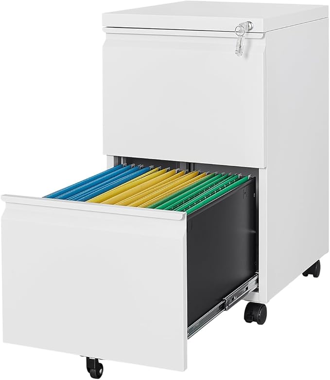 Fesbos 2 Drawers Vertical File Cabinet by Fesbos