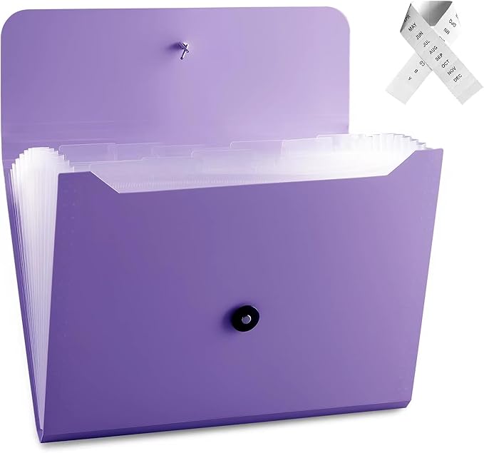 Expanding File Folder File Organizer by Nicfaec