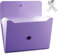 Expanding File Folder File Organizer by Nicfaec