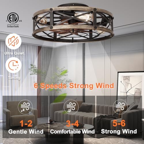 shluce caged ceiling fan with light and remote shown in use