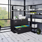 Fesbos Lateral File Cabinet - Image 2