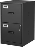BYNSOE 2 Drawer File Cabinet by BYNSOE